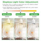 Socket Fan Light with Remote, Dimmable LED Ceiling Fan 12W