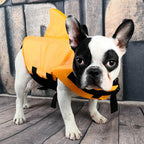 Dog Life Vest, Cute Shark Pet Life Jacket for Swimming