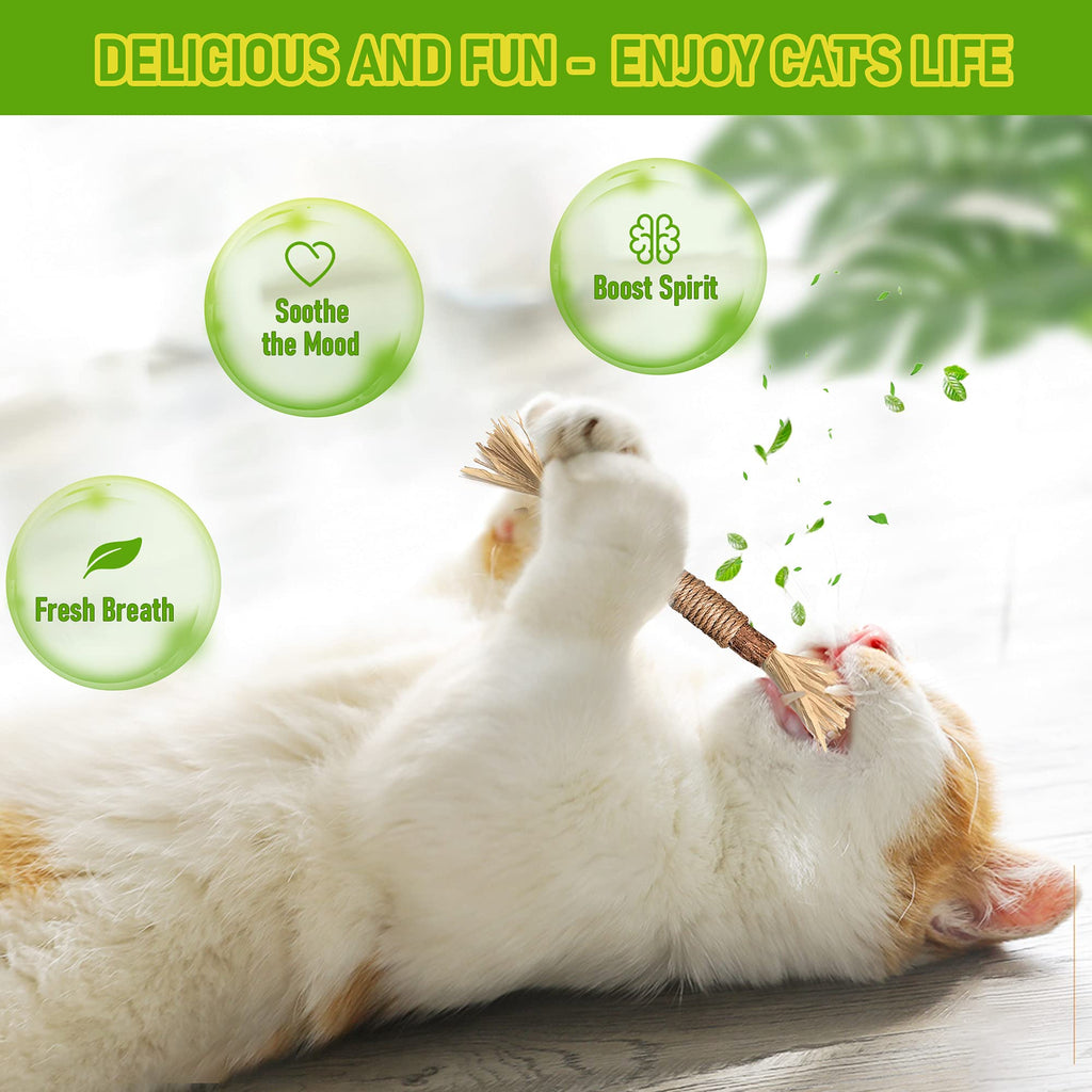Silvervine Sticks Cat Chew Toys for Indoor Cats