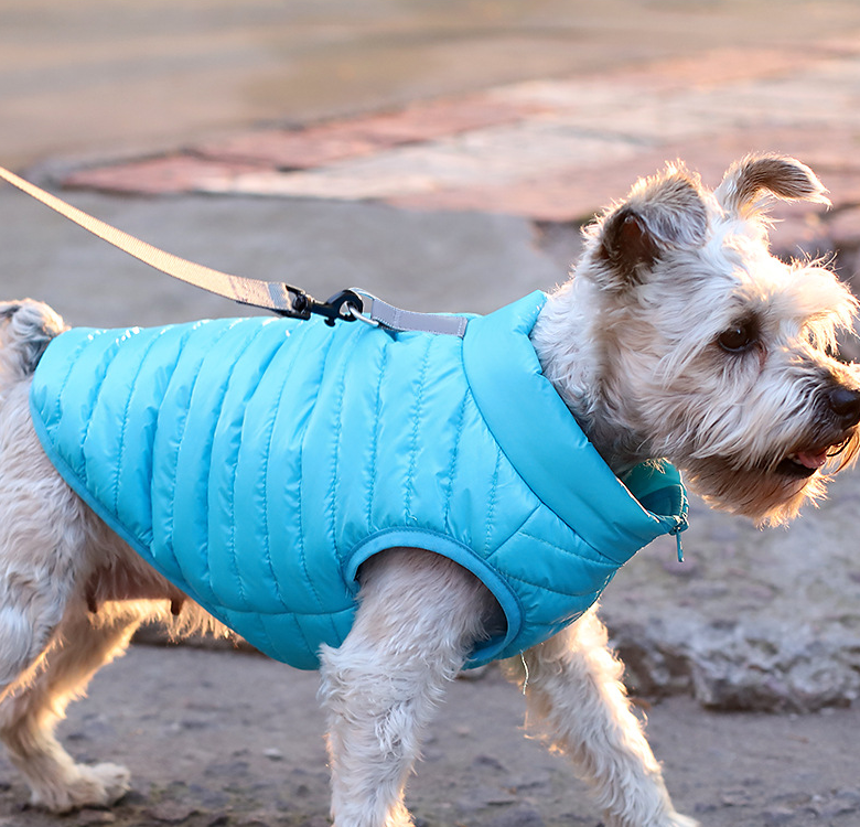 Dog Winter Jacket with Full Zipper, Warm Puppy Coat