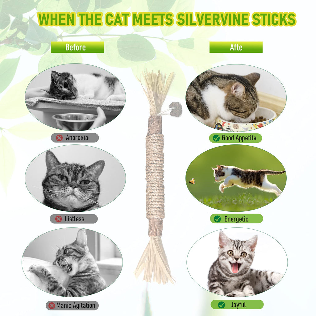 Silvervine Sticks Cat Chew Toys for Indoor Cats