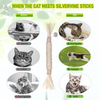 Silvervine Sticks Cat Chew Toys for Indoor Cats
