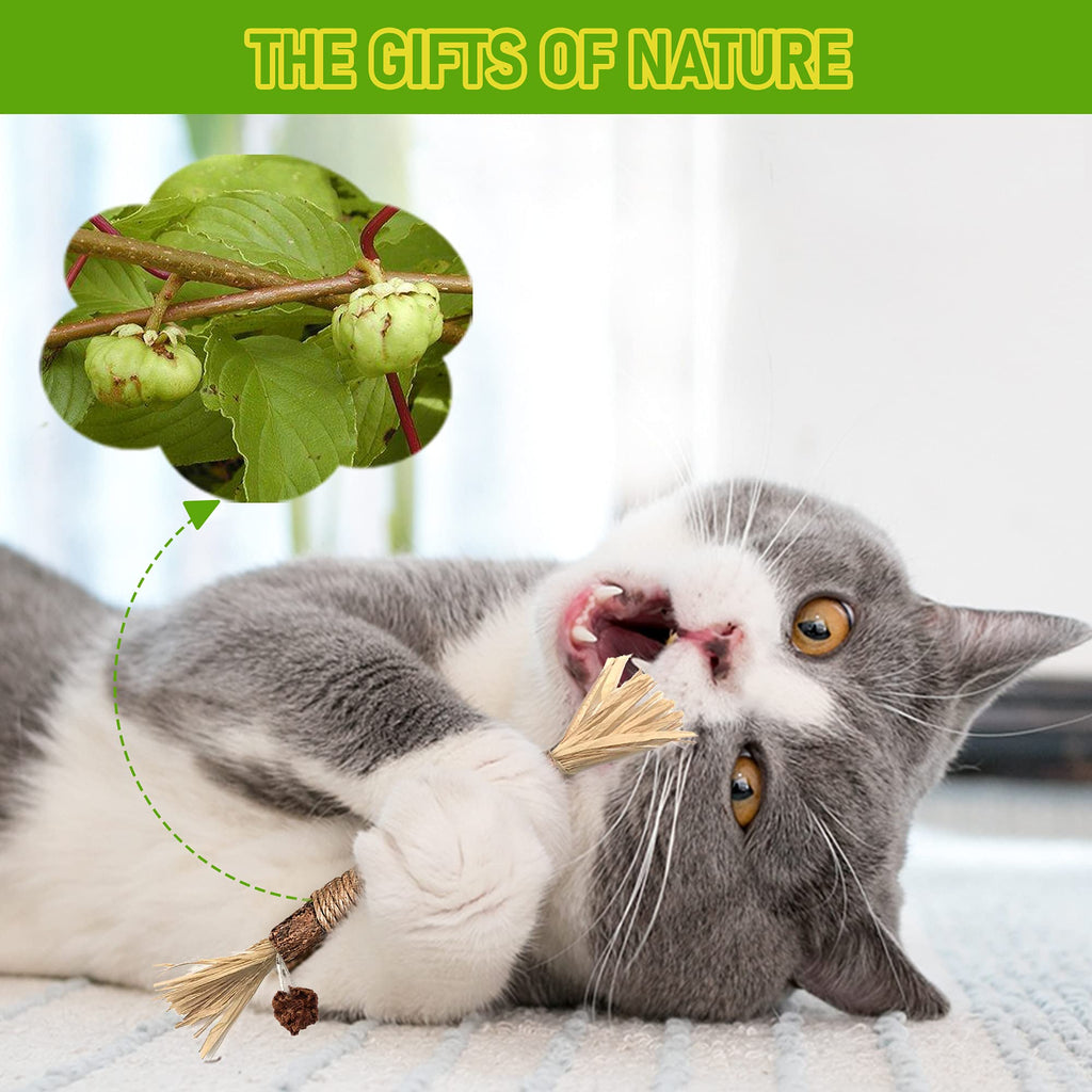 Silvervine Sticks Cat Chew Toys for Indoor Cats