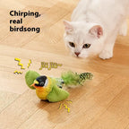 Chirping Bird Cat Toy, Hanging Door Swing Cat Teaser